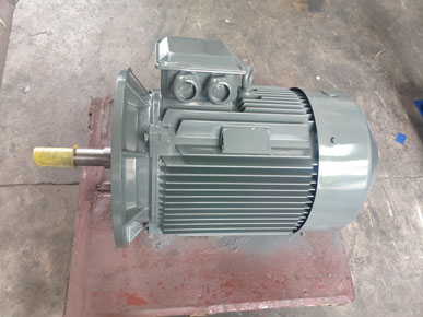 節能水泵電機